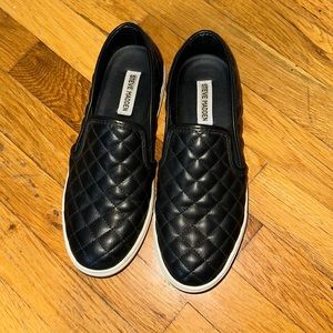 Steve Madden Ecentrq Black